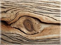 Vẻ đẹp tự nhiên của gỗ sồi hoặc thông với vân gỗ rõ nét...