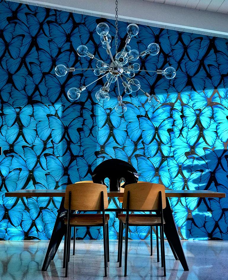 Mẫu thiết kế nội thất chung cư cao cấp và sang trọng https://d4qwptktddc5f.cloudfront.net/astek-wall-covering-blue-butterfly-fliepaper-palm-springs-don-flood.jpg